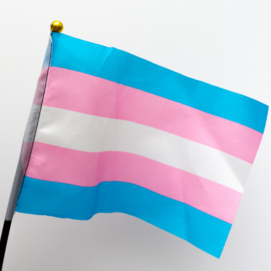 Trans Youth Day